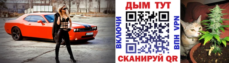 Конопля OG Kush  наркота  Сусуман 